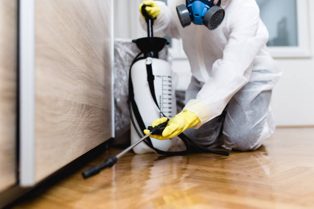 Best Pest Removal Services  in , NM