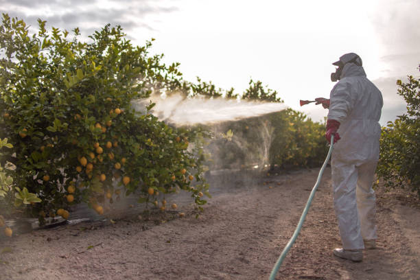 Best Pest Prevention Services  in , NM