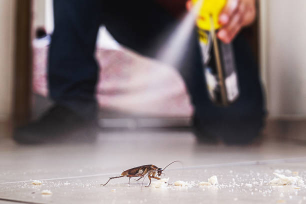 Best Commercial Pest Control Services  in , NM